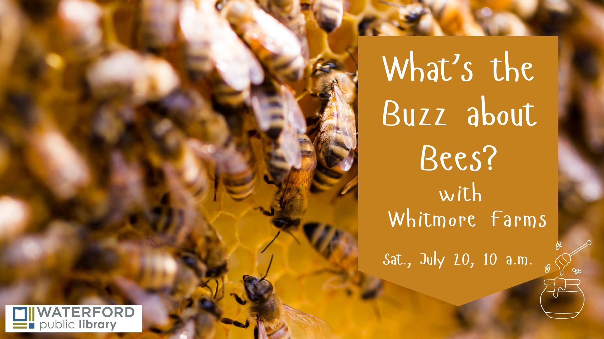 Whats the Buzz about Bees