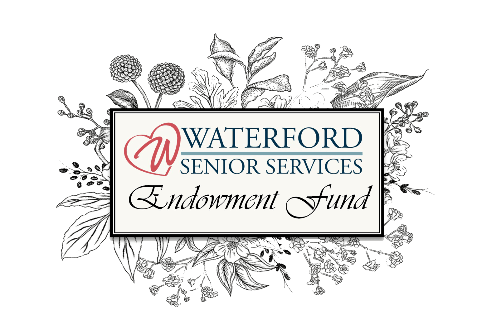 Front Cover Header for Website